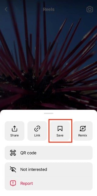 How to save an instagram reel