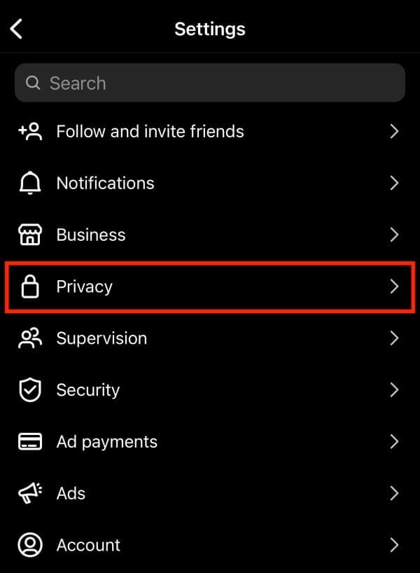 Select the privacy option from the settings menu